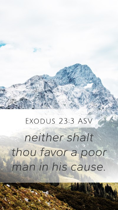 Exodus 23:3 ASV Bible Verse Image