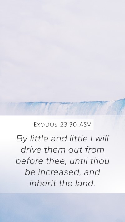Exodus 23:30 ASV Bible Verse Image