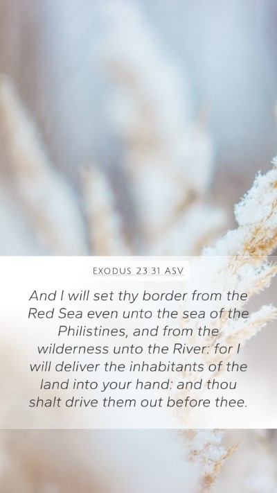 Exodus 23:31 ASV Bible Verse Image