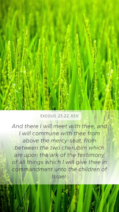 Exodus 25:22 ASV Bible Verse Image