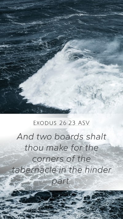 Exodus 26:23 ASV Bible Verse Image