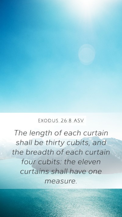 Exodus 26:8 ASV Bible Verse Image