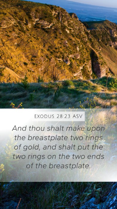 Exodus 28:23 ASV Mobile Phone Wallpaper - And thou shalt make upon the breastplate two - Mobile Bible Verse Wallpaper