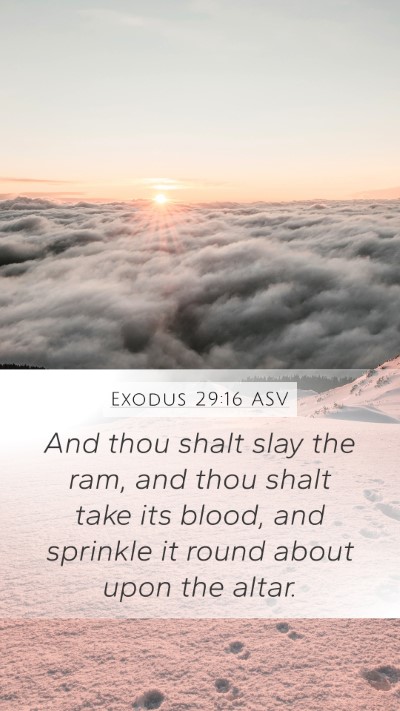 Exodus 29:16 ASV Bible Verse Image