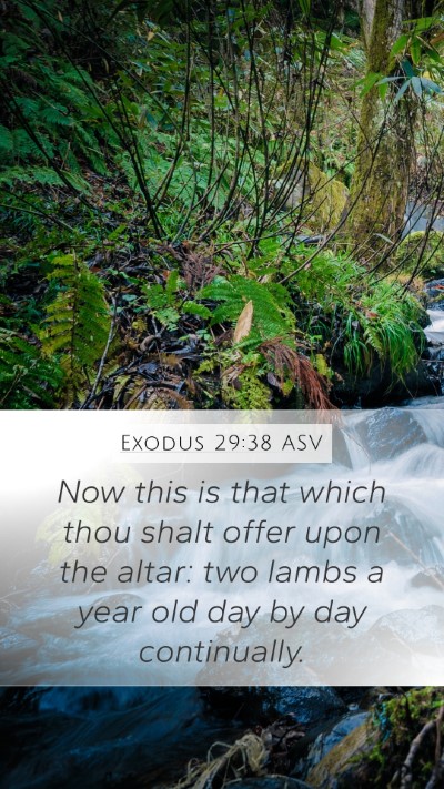 Exodus 29:38 ASV Bible Verse Image