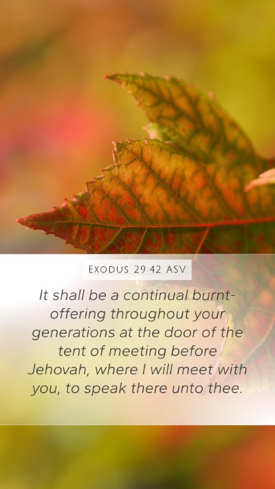 Exodus 29:42 ASV Bible Verse Image