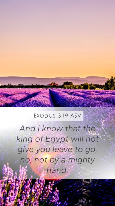 Exodus 3:19 ASV Bible Verse Image