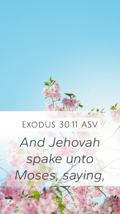 Exodus 30:11 ASV Bible Verse Image