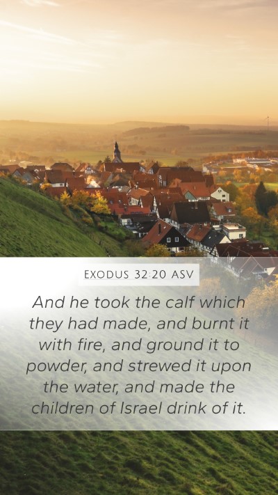 Exodus 32:20 ASV Bible Verse Image