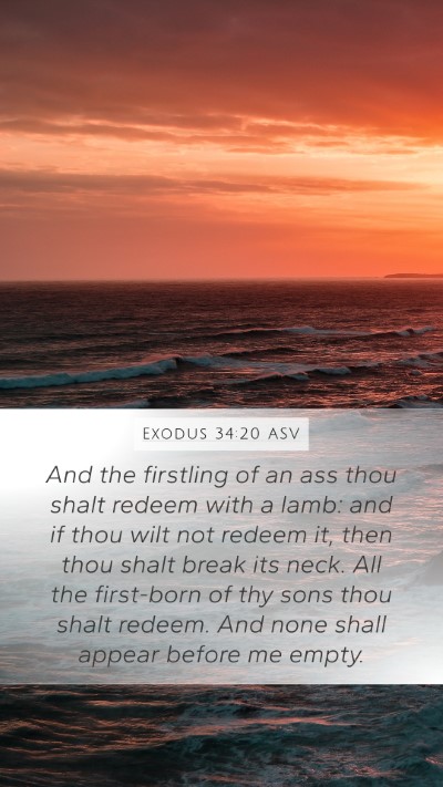 Exodus 34:20 ASV Bible Verse Image