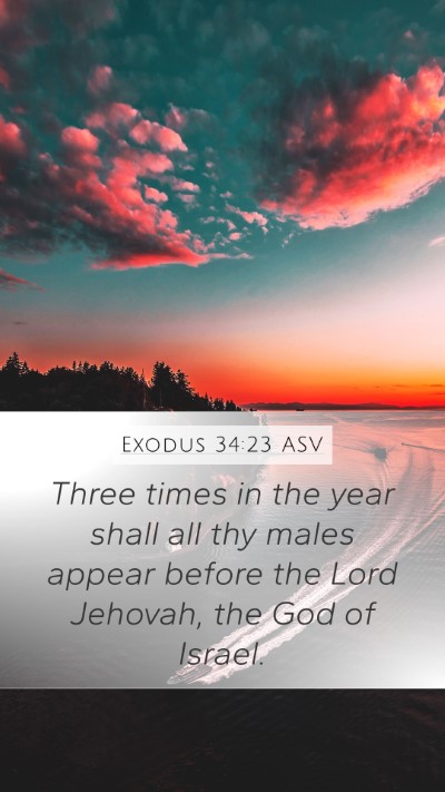 Exodus 34:23 ASV Bible Verse Image