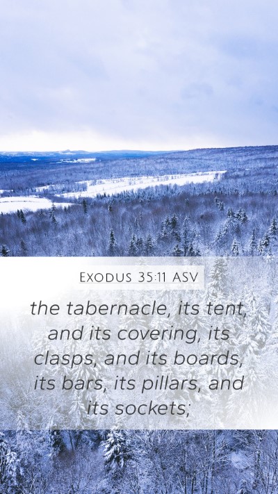 Exodus 35:11 ASV Bible Verse Image
