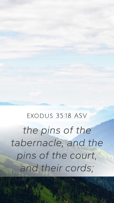 Exodus 35:18 ASV Bible Verse Image