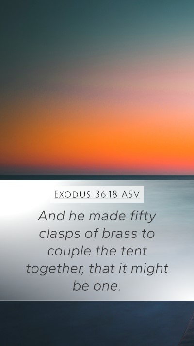 Exodus 36:18 ASV Bible Verse Image