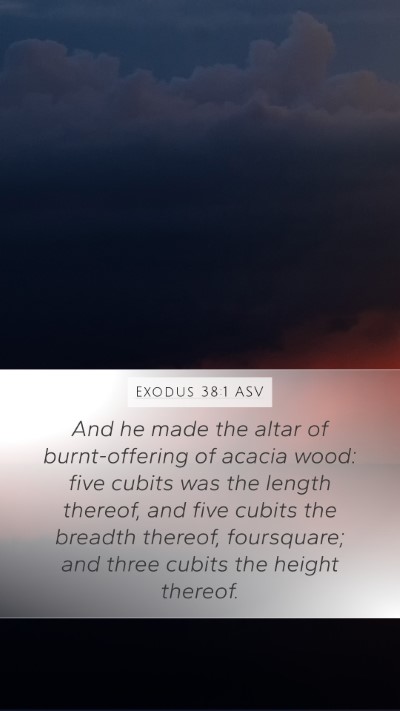 Exodus 38:1 ASV Bible Verse Image