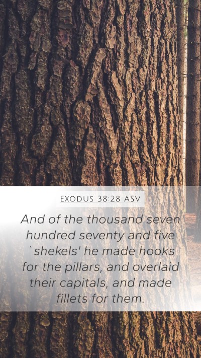 Exodus 38:28 ASV Bible Verse Image