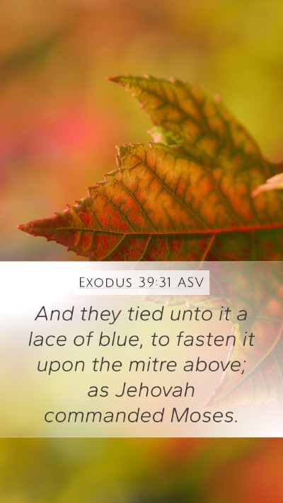 Exodus 39:31 ASV Bible Verse Image