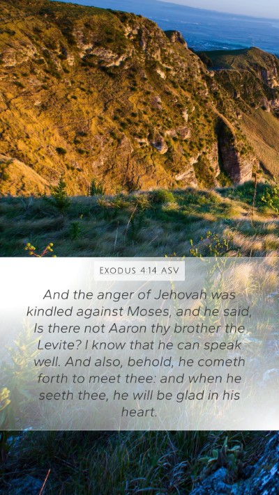 Exodus 4:14 ASV Bible Verse Image