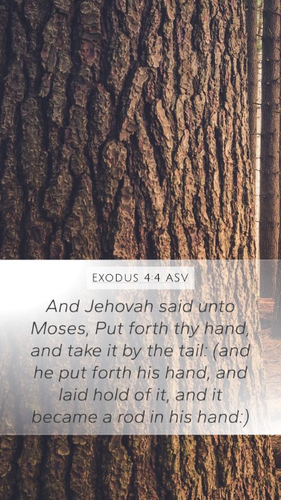 Exodus 4:4 ASV Mobile Phone Wallpaper - And Jehovah said unto Moses, Put forth thy hand, - Mobile Bible Verse Wallpaper