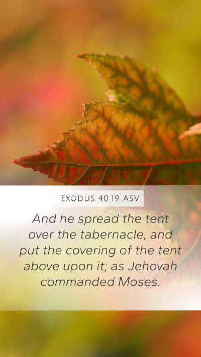 Exodus 40:19 ASV Bible Verse Image