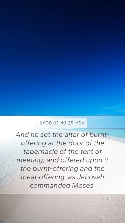 Exodus 40:29 ASV Bible Verse Image