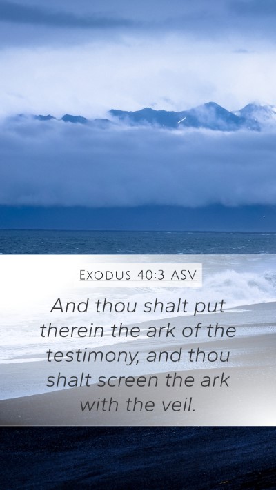 Exodus 40:3 ASV Bible Verse Image