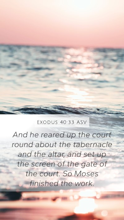 Exodus 40:33 ASV Bible Verse Image