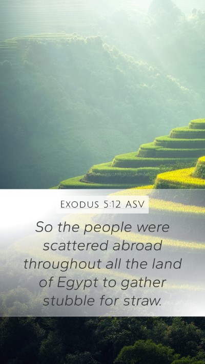 Exodus 5:12 ASV Mobile Phone Wallpaper - So the people were scattered abroad throughout - Mobile Bible Verse Wallpaper
