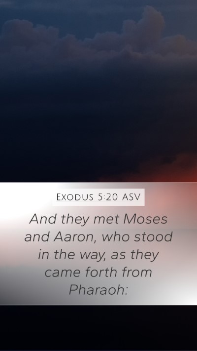 Exodus 5:20 ASV Mobile Phone Wallpaper - And they met Moses and Aaron, who stood in the - Mobile Bible Verse Wallpaper