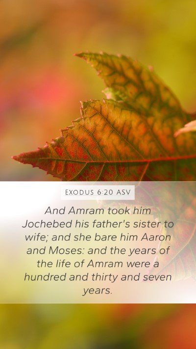 Exodus 6:20 ASV Bible Verse Image