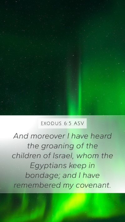 Exodus 6:5 ASV Bible Verse Image