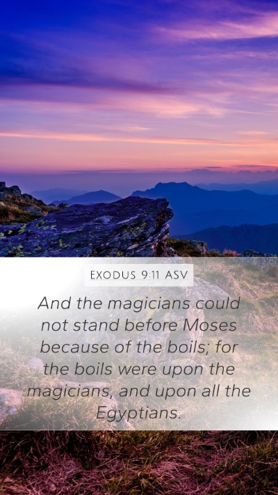 Exodus 9:11 ASV Bible Verse Image