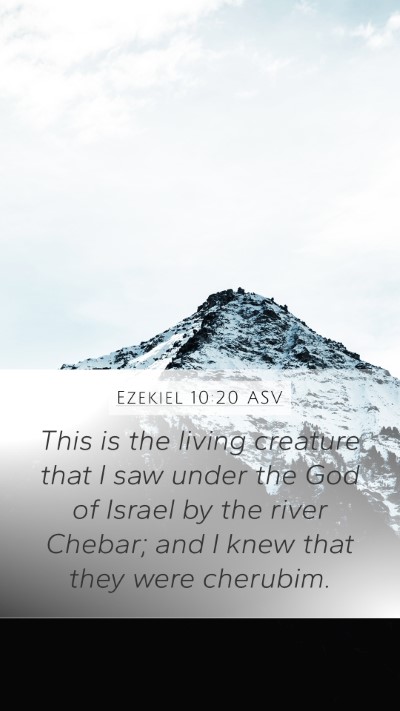 Ezekiel 10:20 ASV Bible Verse Image