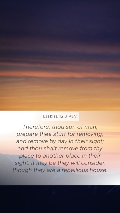 Ezekiel 12:3 ASV Bible Verse Image