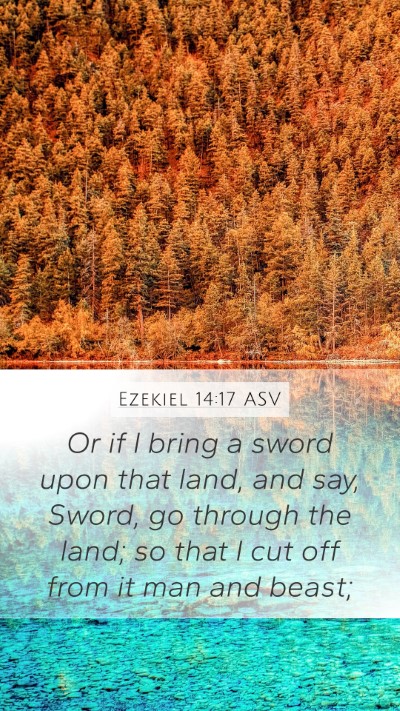 Ezekiel 14:17 ASV Bible Verse Image