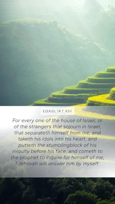 Ezekiel 14:7 ASV Bible Verse Image