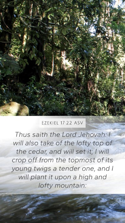 Ezekiel 17:22 ASV Bible Verse Image