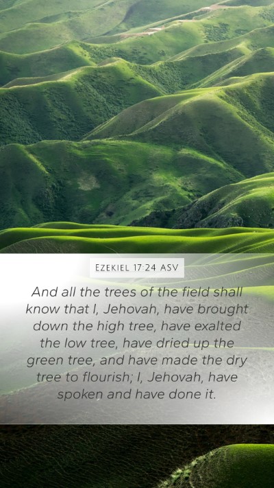 Ezekiel 17:24 ASV Bible Verse Image