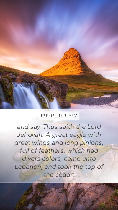 Ezekiel 17:3 ASV Bible Verse Image
