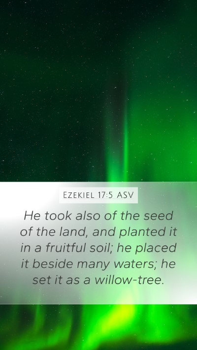 Ezekiel 17:5 ASV Bible Verse Image