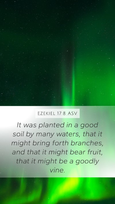 Ezekiel 17:8 ASV Bible Verse Image