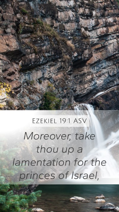 Ezekiel 19:1 ASV Bible Verse Image
