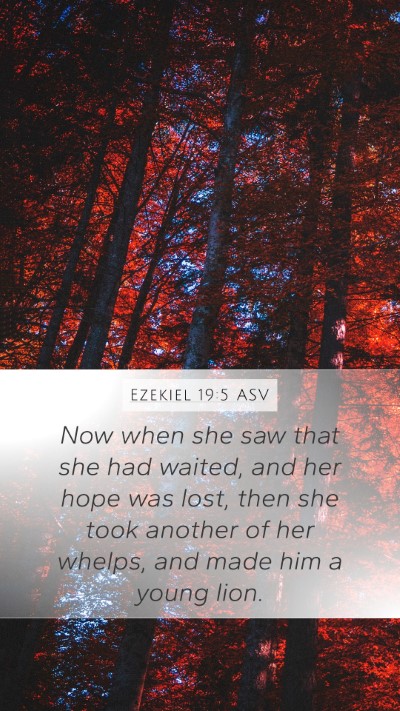Ezekiel 19:5 ASV Bible Verse Image