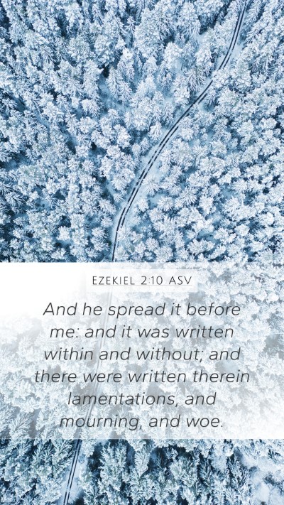 Ezekiel 2:10 ASV Bible Verse Image