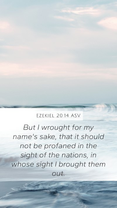 Ezekiel 20:14 ASV Bible Verse Image