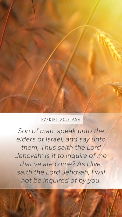 Ezekiel 20:3 ASV Bible Verse Image