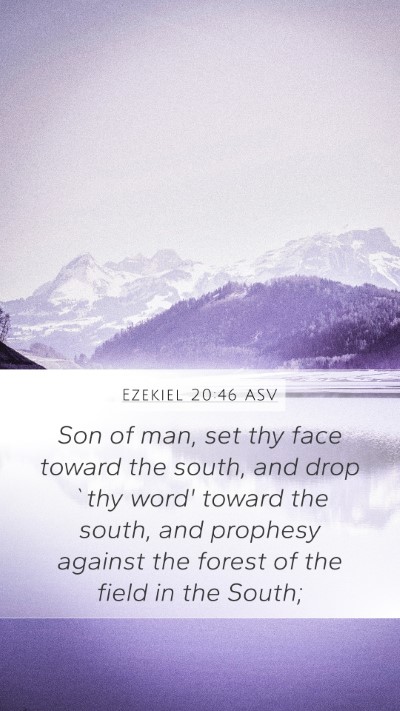 Ezekiel 20:46 ASV Bible Verse Image
