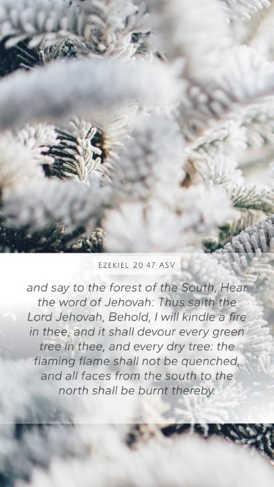 Ezekiel 20:47 ASV Bible Verse Image