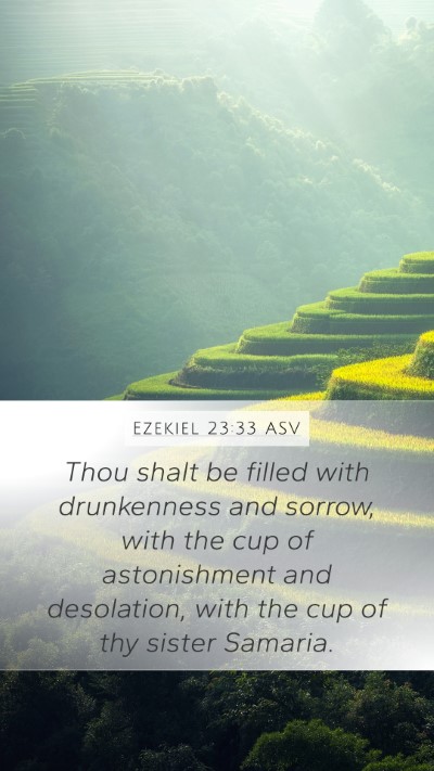 Ezekiel 23:33 ASV Mobile Phone Wallpaper - Thou shalt be filled with drunkenness and sorrow, - Mobile Bible Verse Wallpaper