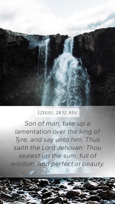 Ezekiel 28:12 ASV Bible Verse Image